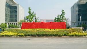 开业剪彩大红花揭幕大红花揭幕布